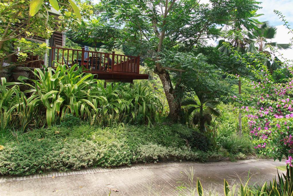 Coco Blanche Appartement Anse Royale Buitenkant foto