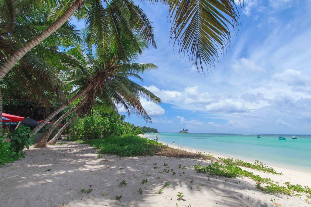 Coco Blanche Appartement Anse Royale Buitenkant foto